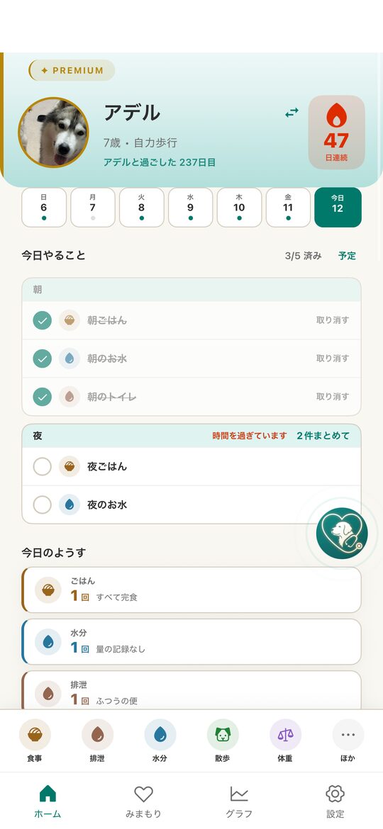 わんケアlogのホーム画面。ごはん・お水・トイレなど、その日のお世話を記録する